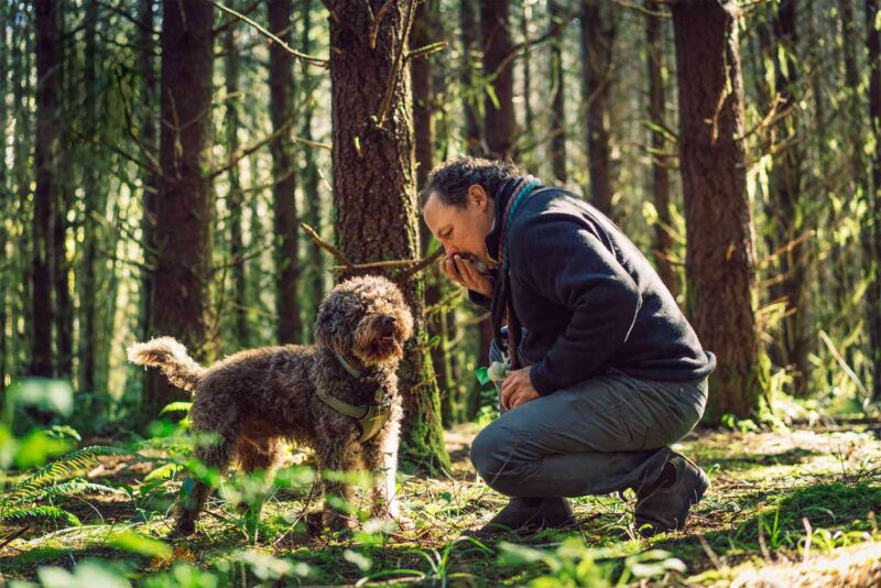 Truffle Dog